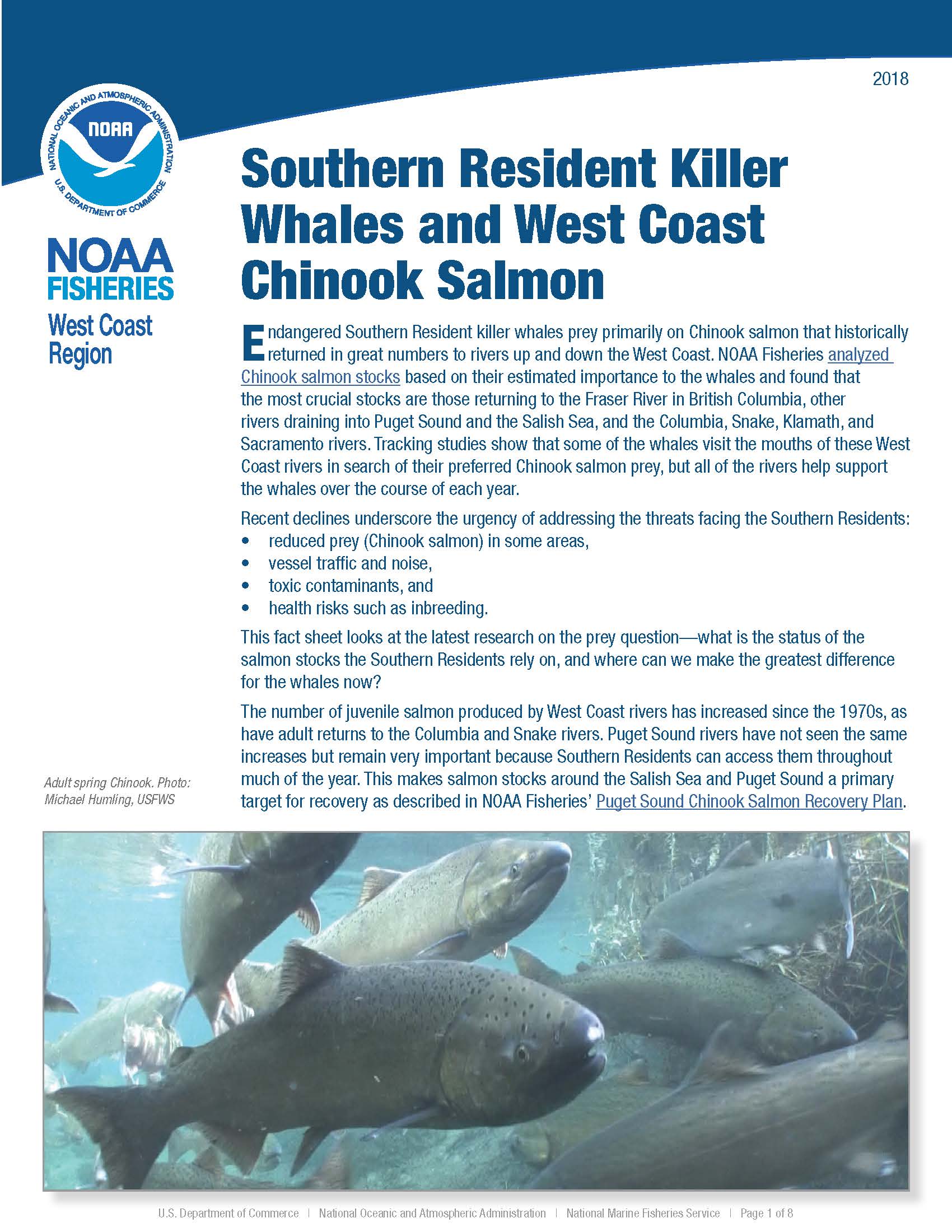 Southern Resident Killer Whales and West Coast Chinook Salmon